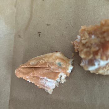 Küflü Hamburger, Sağlık Riski Ve Yetersiz İade