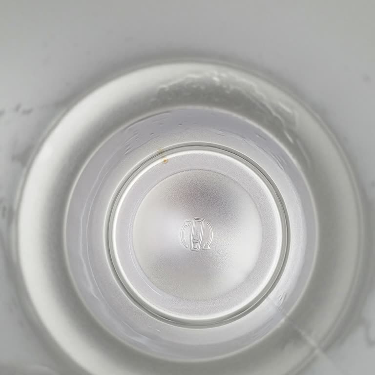 I Face Stanley Quencher H2.0 Tumbler Rust Inside After Regular Use