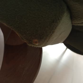 Doğtaş Mobilya Ayıplı Koltuk Takımı ve Servis Gecikmesi