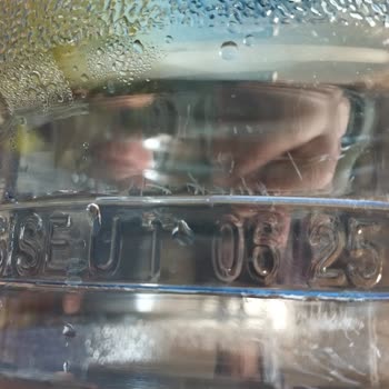 Yosunlu Damacana Ve Su İçin Depozito Ve Ücret İadesi Talebi