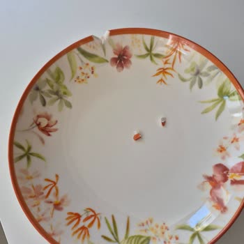 Kırık Yemek Tabağı İçin Ücretsiz Değişim Talebi Ve Müşteri Hizmetleri Yanıtsızlığı