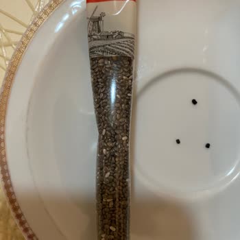 Duru Chai Tohumunda Taş Kontaminasyonu Sağlık Riski Ve Güven Sarsıntısı Yaratıyor