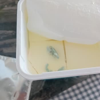 A101 Korucuk Şubesinde Bozuk Peynir İçin İade Reddi Ve Müşteri Mağduriyeti