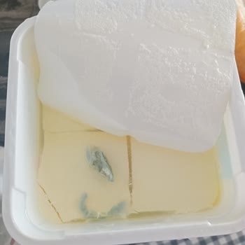 A101 Korucuk Şubesinde Bozuk Peynir İçin İade Reddi Ve Müşteri Mağduriyeti