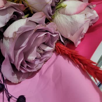 Solmuş Güller Ve Tazecicek.com’da Yetersiz Müşteri Desteği