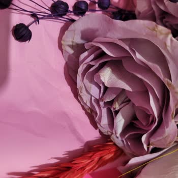 Solmuş Güller Ve Tazecicek.com’da Yetersiz Müşteri Desteği