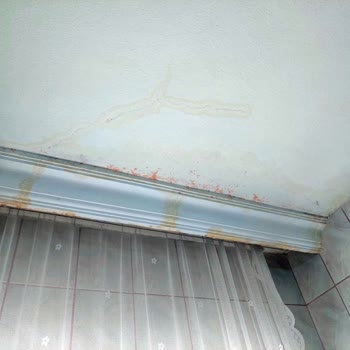 Aksigorta Alt Kat Daire Tavan Boya Hasarını Kapsam Dışında Bırakıyor