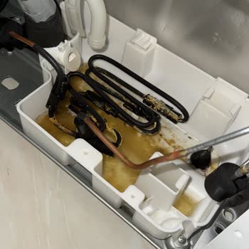 Arçelik Buzdolabının Tekrarlayan Koku Ve Pislik Sorunu Nedeniyle Değişim Talebi