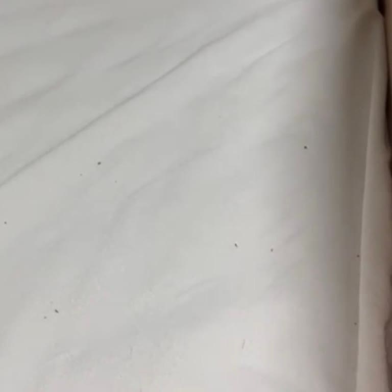 Tahta Kurusu Ve Hijyen Sorunu Nedeniyle Yetersiz İlaçlama Ve İletişimsizlik