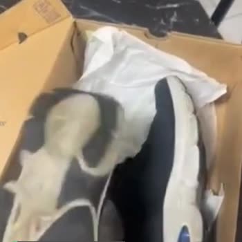 Skechers Sattığı Malın Arkasında Durmayan Bir Firma!