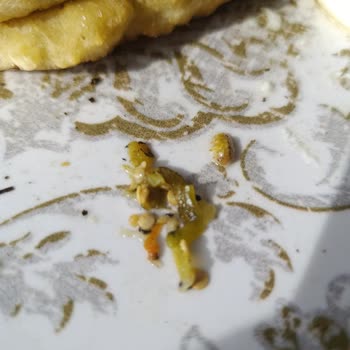 Melis Turşusunun Kavanozunda Ölü Kurt Bulundu