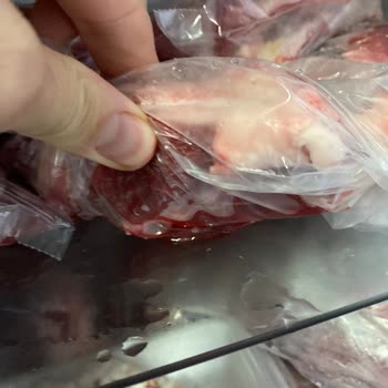 Garanti Süresi İçinde Arızalanan Dondurucu İçin Cihaz Değişimi Ve Maddi Tazminat Talebi