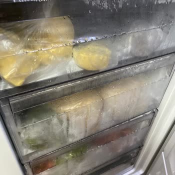 Garanti Süresi İçinde Arızalanan Dondurucu İçin Cihaz Değişimi Ve Maddi Tazminat Talebi