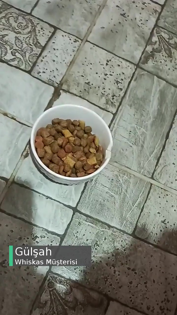 Whiskas Mamaların Kalitesi Çok Düştü videonun kapak resmi