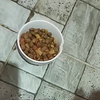 Whiskas Mamaların Kalitesi Çok Düştü