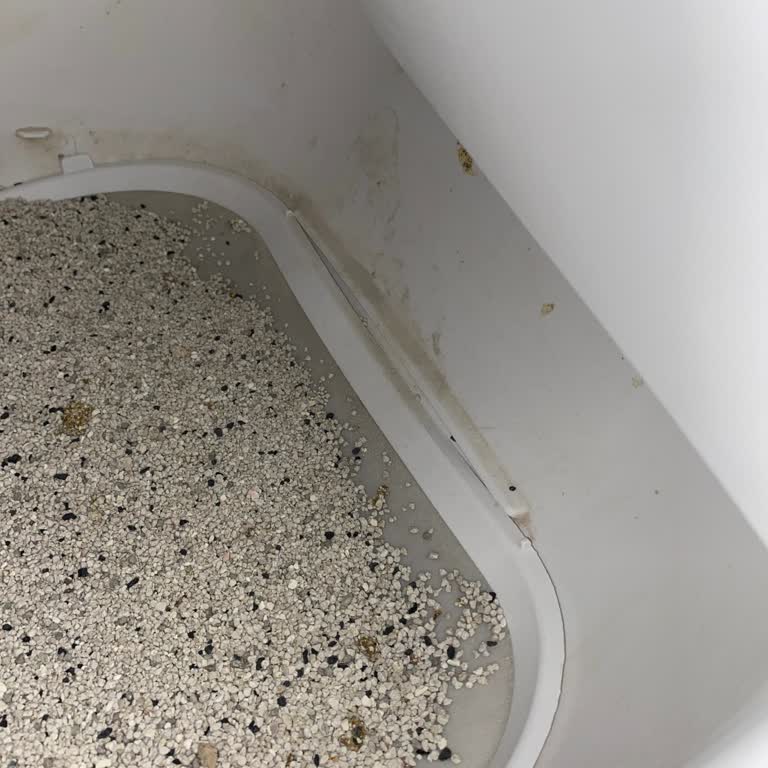 Silikon Pedin Erken Deformasyonu Ve Kum Dökülmesi