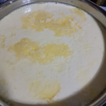 Beysüt Jersey Süt Kaymak Tutmadı