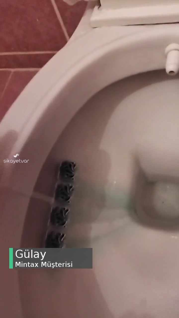 Mintax Çam Kokulu WC Bloktan Şikayetçiyim videonun kapak resmi