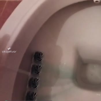 Mintax Çam Kokulu WC Bloktan Şikayetçiyim
