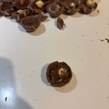 Şölen Çikolata Şikayeti