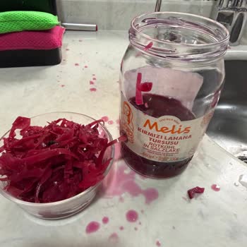 Melis Turşusunda Sinek: Hijyen Ve Güven Sorunu