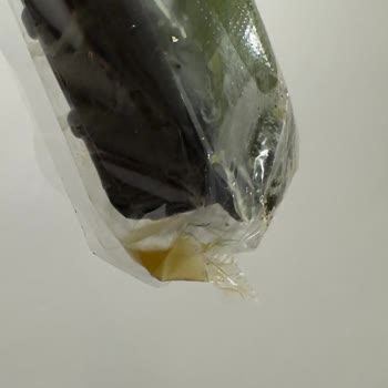 Bozuk Roka Ürünü Ve Müşteri Hizmetlerine Ulaşılamaması