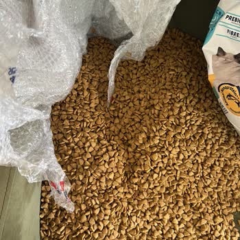 Hasarlı Ve Eksik Kedi Maması, İdefix Müşteri Hizmetlerinden Cevap Bekliyor