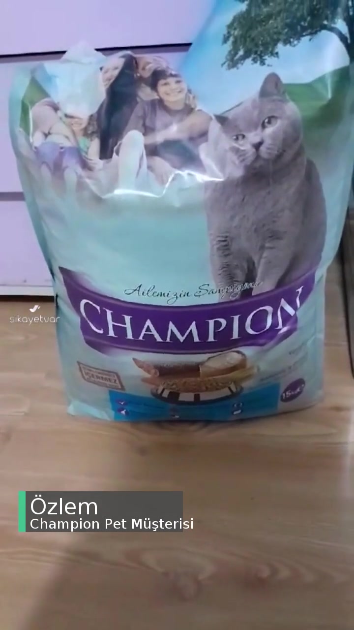 Champion Pet Bu Mamanın Satılmaması Lazım! videonun kapak resmi