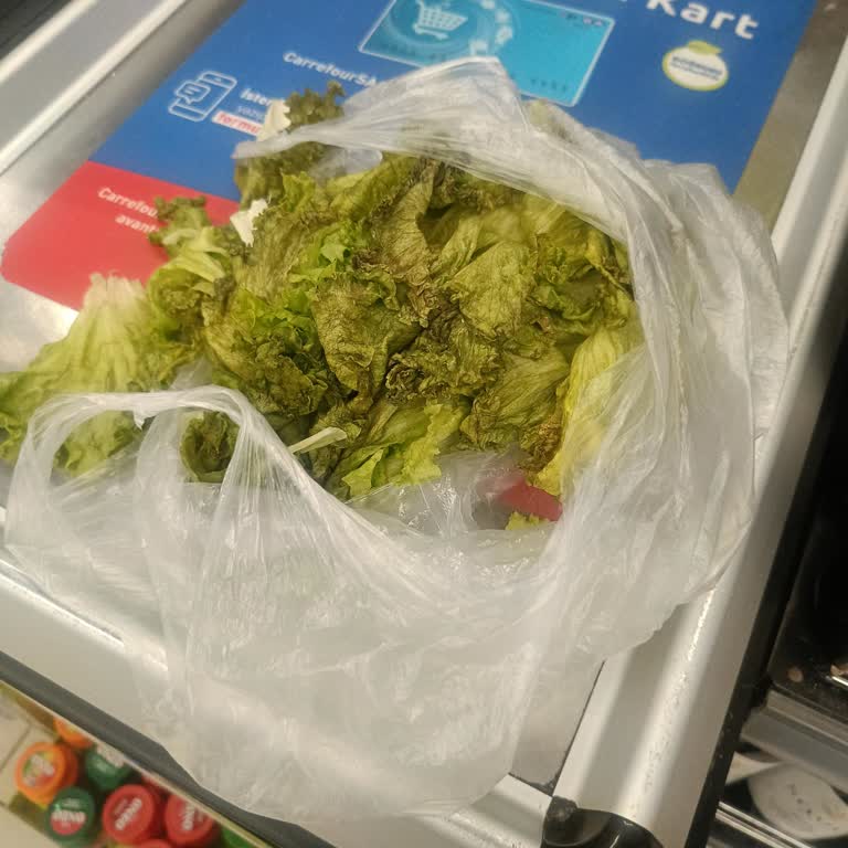 Carrefour SA Mağazasında Çürük Marul Ve Saygısız Kasiyer Tavrı