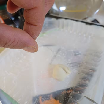 Pelmen Mantısında Kıl Bulunması Hijyen İhlali