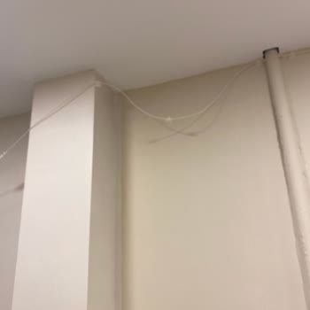 Fiber Kablolarının Çamaşır İpi Gibi Bırakılması Görüntü Kirliliği Ve Güvenlik Riski