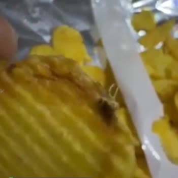 Ruffles Böcekli Ve Yanmış Patates!
