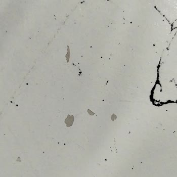 Vivaldi Sıvı Cam Boyasının Kısa Sürede Soyulması Ve Yeniden Uygulama Talebi