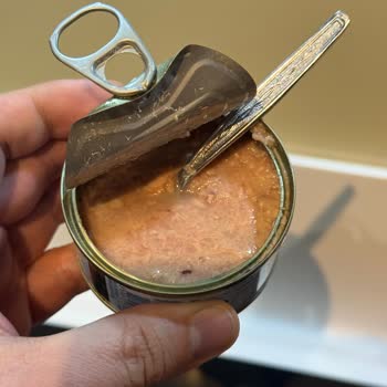 Superfresh Ton Balığı Sıvılaşmış Ve Parçasız