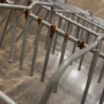 Sepetlerde Paslanma Ve Garanti Reddi