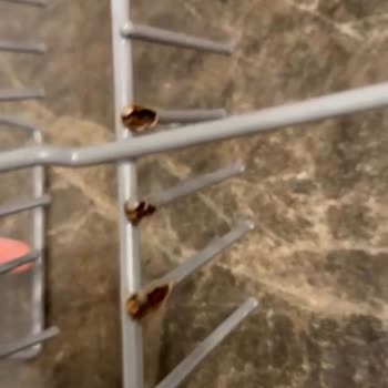 Sepetlerde Paslanma Ve Garanti Reddi