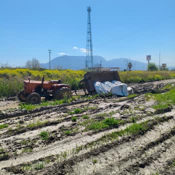 Bozuk Yol Nedeniyle Üzüm Çuvallarının Kaybı Ve Belediye İhmali