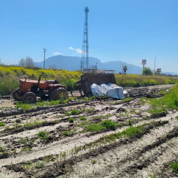 Bozuk Yol Nedeniyle Üzüm Çuvallarının Kaybı Ve Belediye İhmali