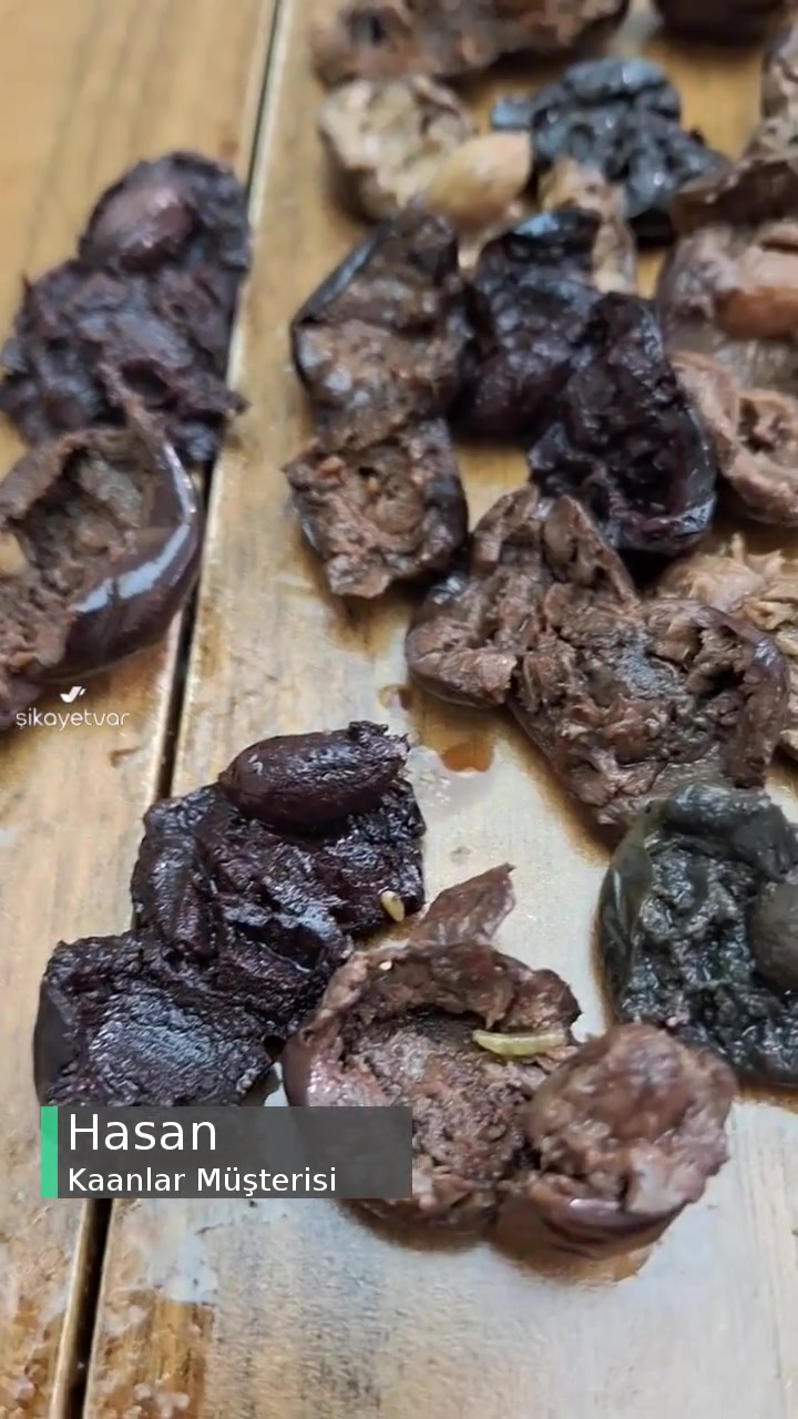 Kaanlar 900 Gr Zeytinde Çok Fazla Kurt Var videonun kapak resmi