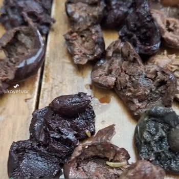 Kaanlar 900 Gr Zeytinde Çok Fazla Kurt Var