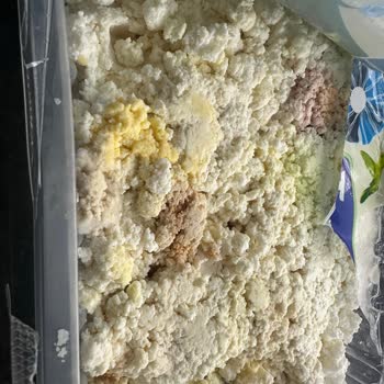 Torku Lor Peyniri Bozulmuş, Sağlık Riski Ve Hijyen Sorunu