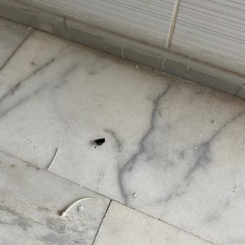 Türk Telekom Çalışması Sonrası Apartmanda Dağınık Kablo Parçaları Ve Güvenlik Tehlikesi