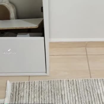 Bofigo Hep Düşen Hemen Kırılan Ayakkabılık!