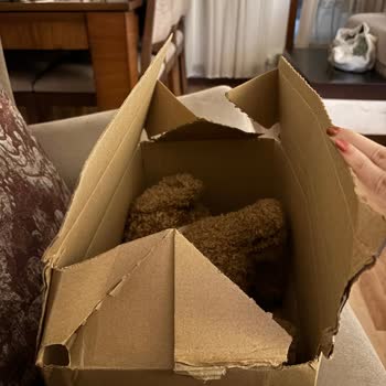 Zara Home Peluş Oyuncakta Sürekli Eksik Parçalar Ve Kötü Paketleme