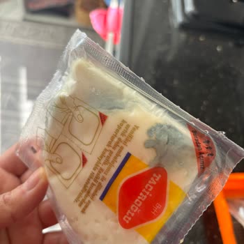 Açılmamış Ambalajda Küflü Peynir: Gıda Güvenliği Endişesi