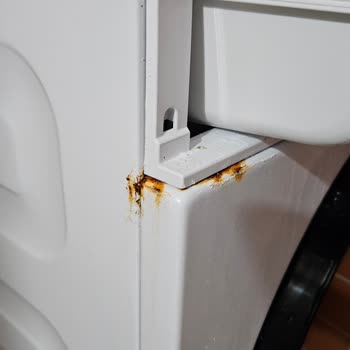 Arçelik Çamaşır Makinesindeki Deterjan Gözünün Paslanması Garanti Kapsamına Alınmalı