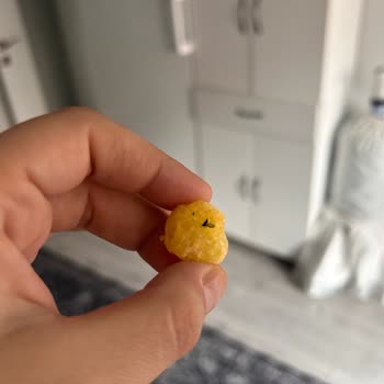 Çerezza Paketi İçinde Ölü Sinek: Gıda Güvenliği Ve Geri Çağrı Talebi