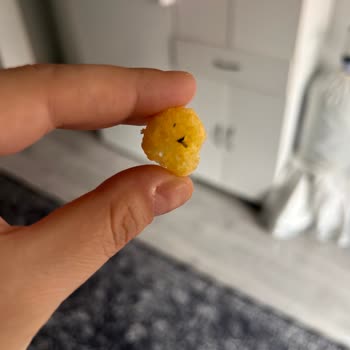 Çerezza Paketi İçinde Ölü Sinek: Gıda Güvenliği Ve Geri Çağrı Talebi