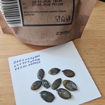 Ümraniye Şubesindeki Harras Çiğ İç Kabak Çekirdeğinde Bayat Tat Ve Düzensiz Görünüm