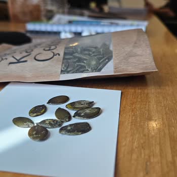 Ümraniye Şubesindeki Harras Çiğ İç Kabak Çekirdeğinde Bayat Tat Ve Düzensiz Görünüm